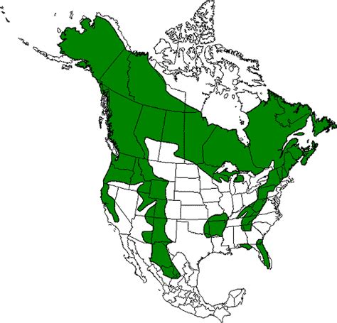 Distribution Of Moose In North America