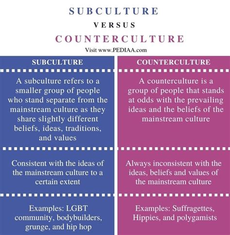 What Is The Difference Between Subculture And Counterculture Pediaacom