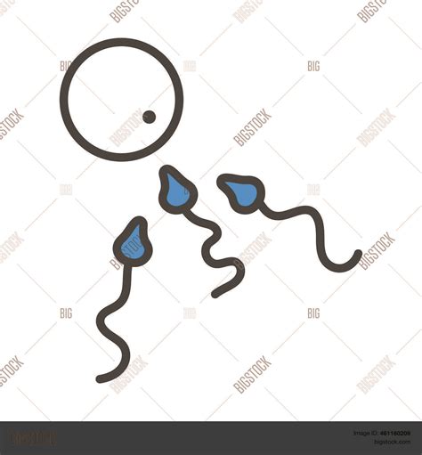 Sperm Egg Cell Icon Vector And Photo Free Trial Bigstock