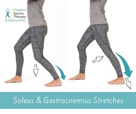 Lower Leg Calf Stretches Gastrocnemius And Soleus