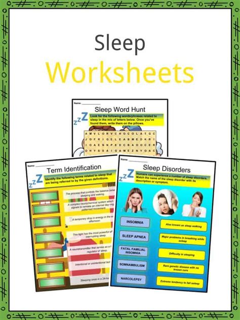 Sleep Worksheets And Facts Function Patterns Disorders Tips