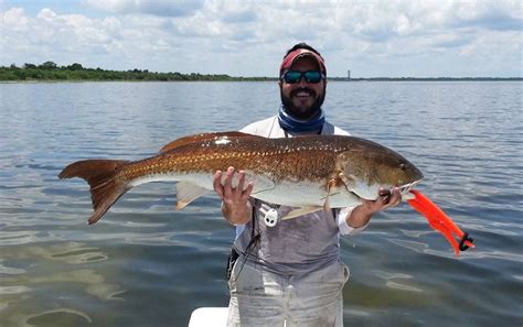Flats Fishing For Reds In Florida Mosquito Lagoon And The Indian River