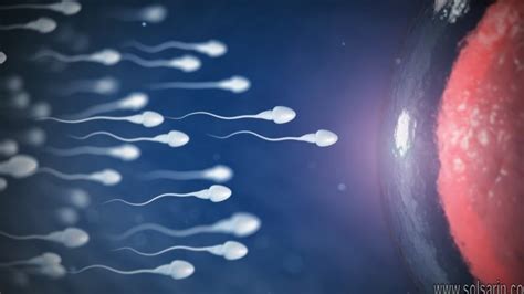 what happens if we release sperm daily solsarin