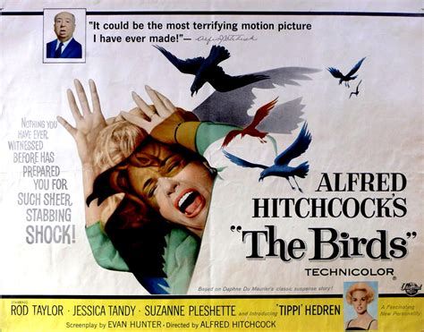 movie posters the birds 1963