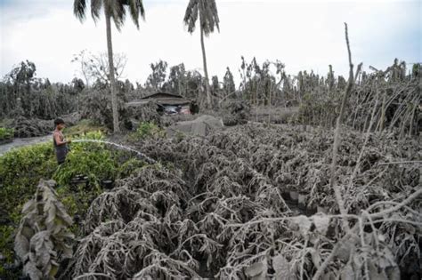 Agricultural Expert Says Ash From Taal Eruption Good For Soil Fertility