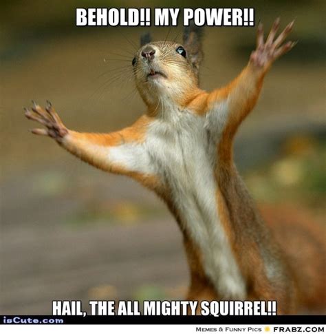 20 Squirrel Memes That Will Melt Your Heart
