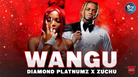 Zuchu X Diamond Platnumz Wangu Official Music Video Youtube