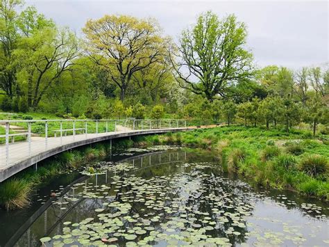 The mission of the atlanta botanical garden is to develop and maintain plant collections for display, education, research, conservation and enjoyment. Small Victory for Brooklyn Botanical Gardens in Battle ...