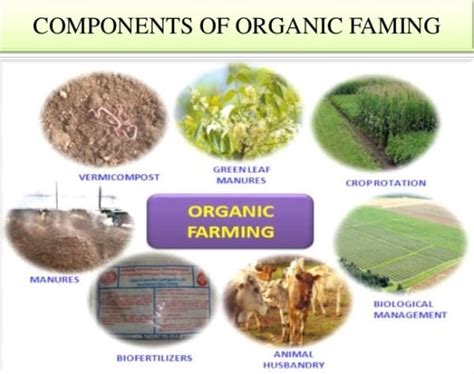 Organic Agriculture Information Guide Agri Farming