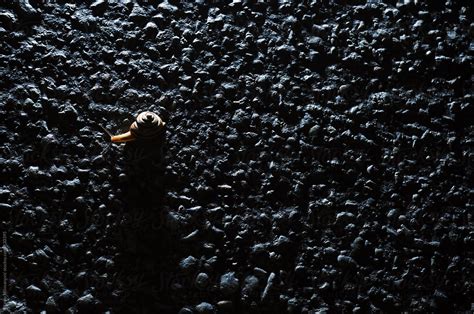 Snail Crawling On The Road Del Colaborador De Stocksy Marko Stocksy