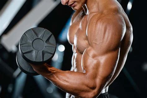 Muscler Ses Biceps Les Meilleurs Exercices Pour Bien Travailler Et