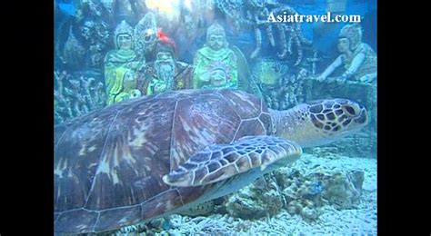 Marine Life Vietnam By Youtube