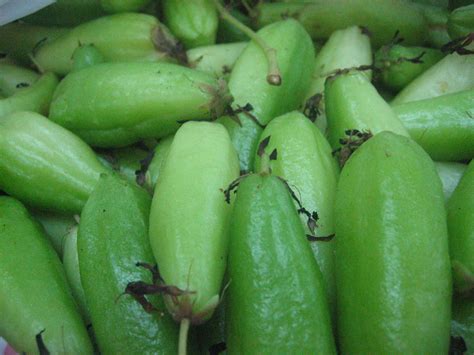 Free photo: Kamias fruits - Crops, Fresh, Fruits - Free Download - Jooinn