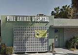 Photos of Long Beach Veterinary Hospital