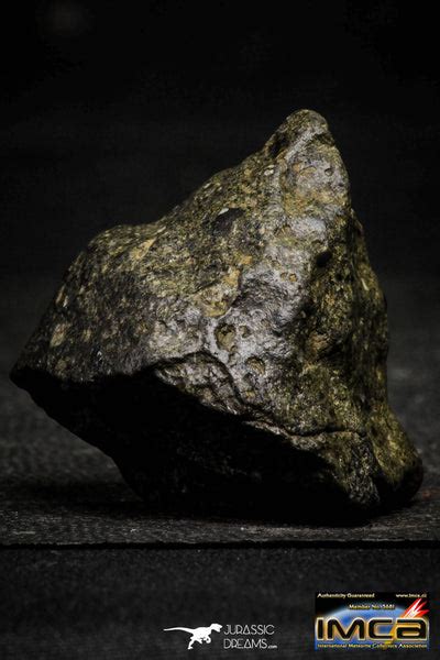 Top Rare 467 G Complete Nwa Unclassified Eucrite Achondrite Jurassic