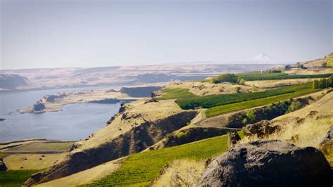 One Of The Most Unique Parks In The Country Is In Goldendale Wa