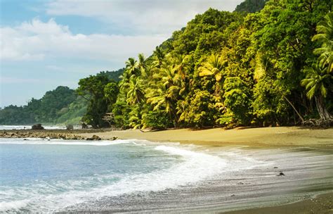 Osa Peninsula Gaycations Costa Rica
