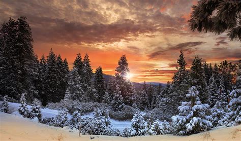 Fondos De Pantalla Canadá Parque Bosques Invierno Amaneceres Y