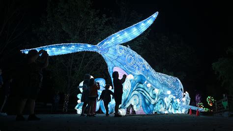 Mendons Southwicks Zoo Festival Of Illumination Opens