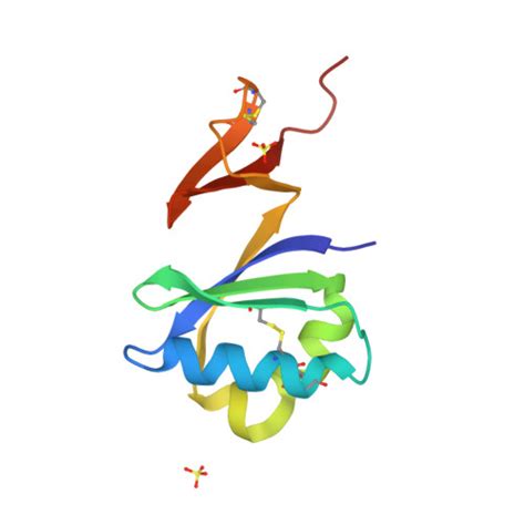 RCSB PDB 1RKI Structure Of Pag5 736 From P Aerophilum With Three