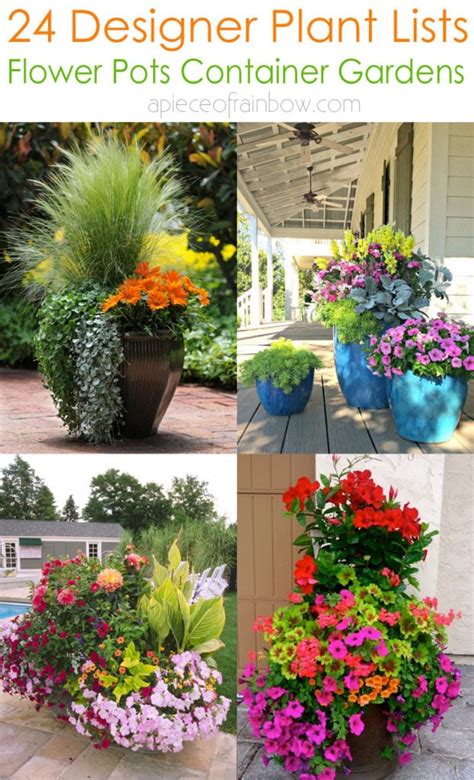 Best Container Garden Plants Tips For Thriving Plants In Small Spaces