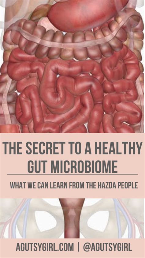 The Secret To A Healthy Gut Microbiome A Gutsy Girl®