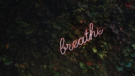 Breathe 4k Wallpapers For Your Desktop Or Mobile Screen Free And Easy