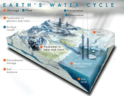 Precipitation And The Water Cycle Science Pickle