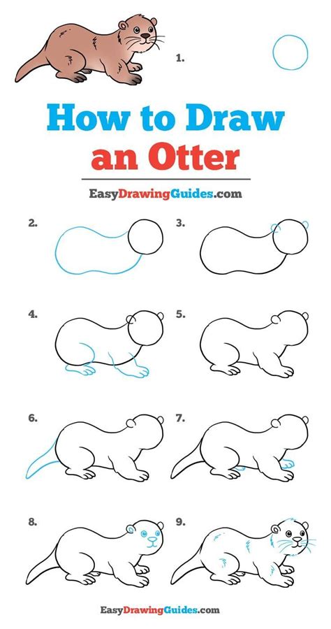 Https://tommynaija.com/draw/how To Draw A Baby Otters Face