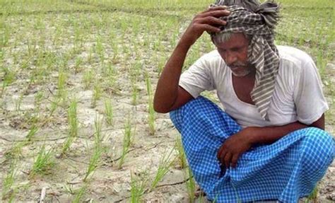 Odisha Farmer Suicides On The Rise Cops To Keep Watch On Moneylenders