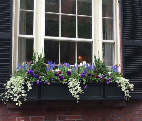 Window box impatiens hosta jacob's ladder fuchsia ground ivy sweet potato vine credit: Pin by margaret barrett on Window box: ideas | Front ...