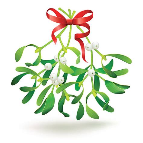 Best Mistletoe Illustrations Royalty Free Vector Graphics And Clip Art
