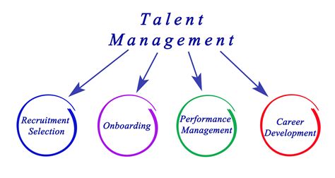 How Talent Management Helps Boosting Employee Retention The College