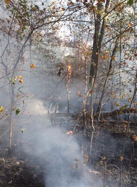 Sipsey Wilderness Fire Continues To Burn Now Over 1500 Acres Destroyed