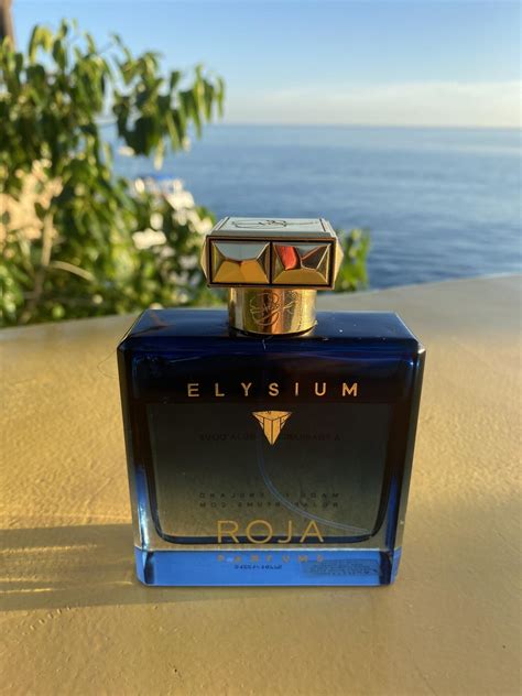 Elysium Pour Homme Parfum Cologne Roja Dove Zapach To Perfumy Dla