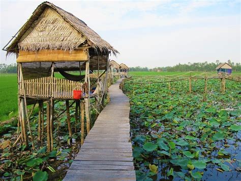 Promo [75% Off] Green Field Homestay Vietnam | Citizenm Hotel Near Me
