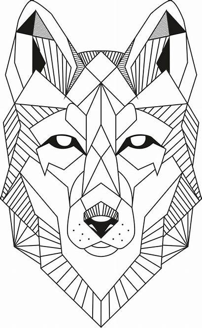 Wolf Vector Lineart Line Cdr Drawing 3axis