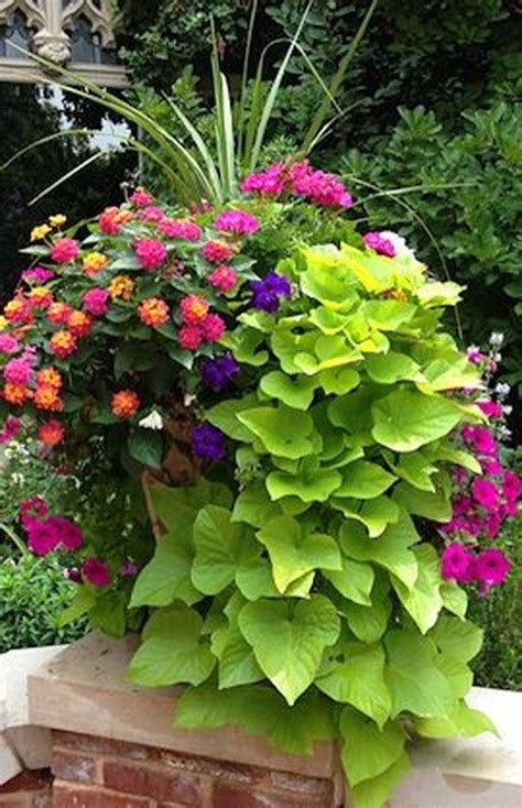 amazing summer planter ideas to beautify your home 10 garden containers pots and planters
