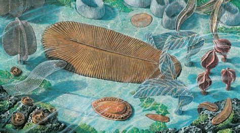 Cambrian Timeline Timetoast Timelines