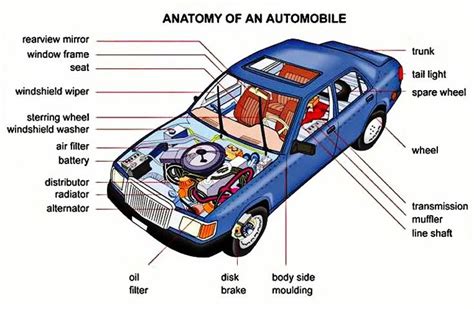 Knowing The Parts Of Your Car Is Important Before You Decide To Become