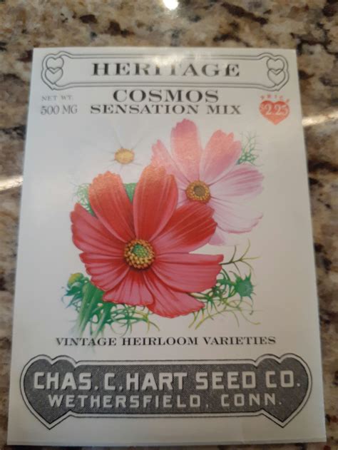 Cosmos Sensation Mix Heirloom Seed
