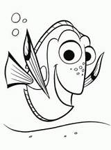 Dory Finding Tang Regal Coloring Marlin Fishes Clown Await Nemo Printable sketch template
