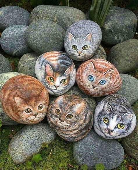 Lindos Gatitosbeautiful Painted Rock Animals Pet Rocks