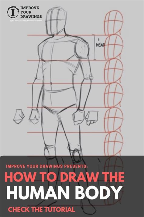 How To Draw Human Body Step By Step Draw Human Body Parts 2020