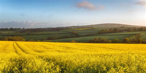 Early May Bank Holiday In United Kingdom In 2024 Office Holidays