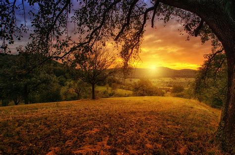 Free for commercial use no attribution required high quality images. 2560x1700 Tree Sun Aesthetic Dawn Landscape Panorama ...