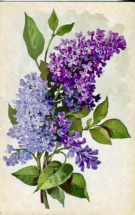 Pin By Anja Holm On Blumen Lilac Painting Watercolor Flowers Flower Art