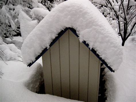Free Images Snow White Weather Monochrome Season Blizzard