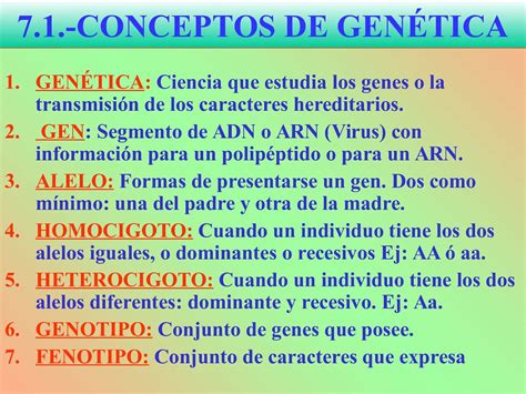 Calaméo Tema 7 Genetica Mendeliana 1