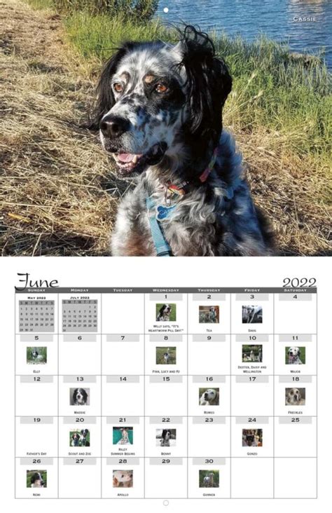 Southwest English Setter Rescue 2022 Calendar Fundraising